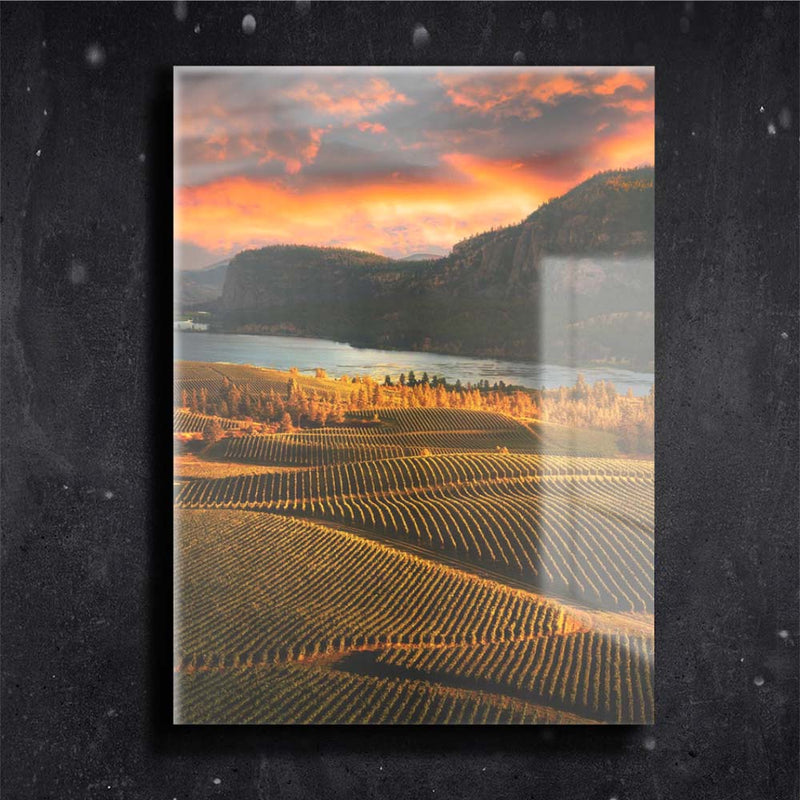 Quadro Metalizado Paisagem Lavoura Montanha Placa Decorativa Brilhante